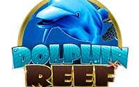 Dolphin Reef Slot