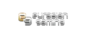 eurasian gaming logo