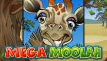 Mega Moolah Slot