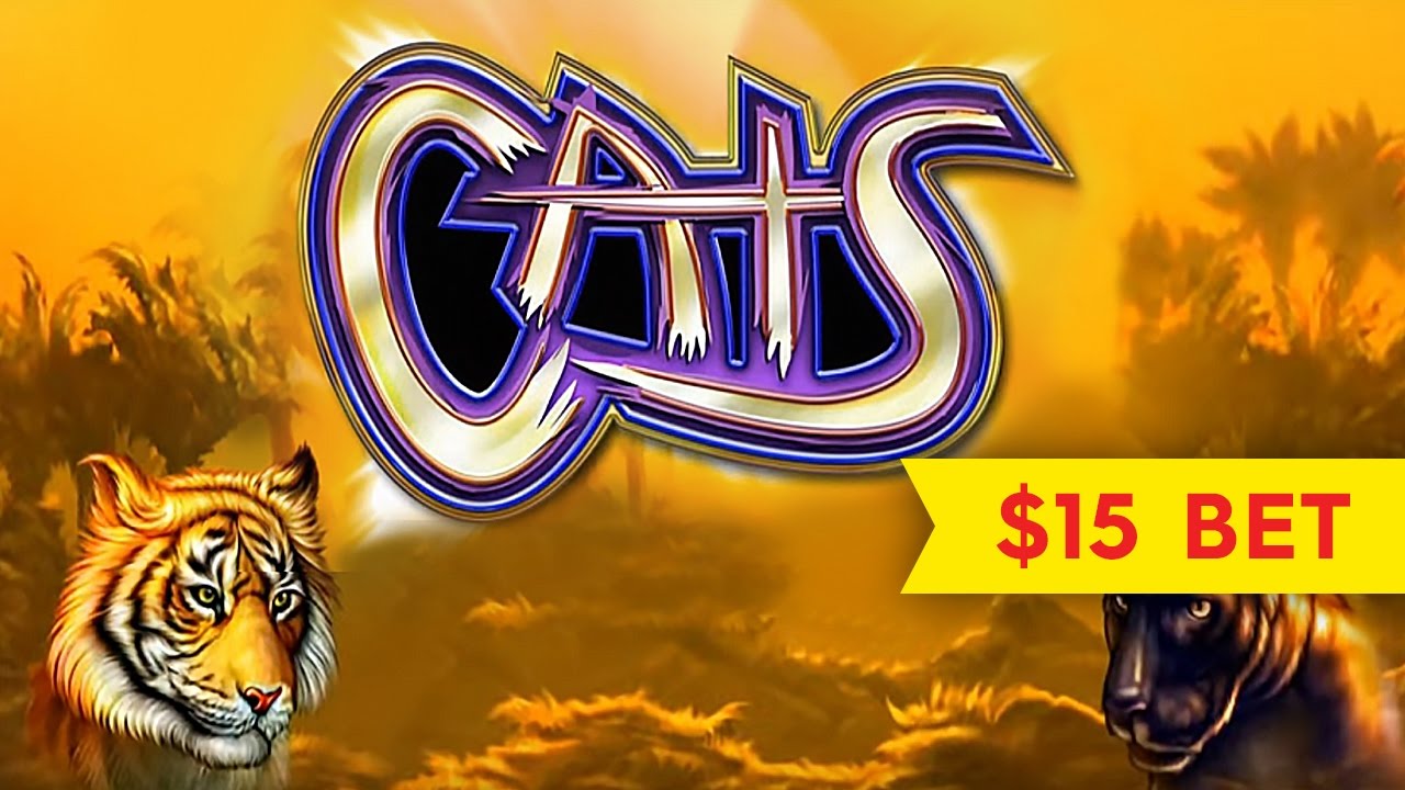 cats slots