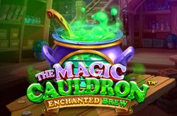 The Magic Cauldron - The Enchanted Brew